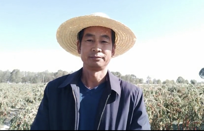 李福文：电商创业让日子过得有声有色