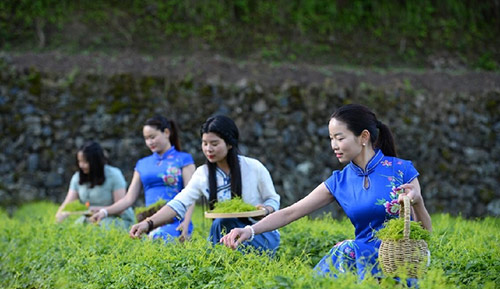 我的价值要在乡土情结和家国情怀中实现
