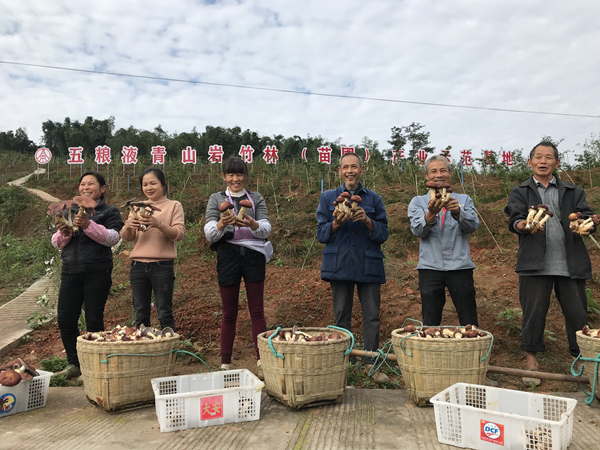 扶贫攻坚战中的五粮液&ldquo;样板&rdquo;