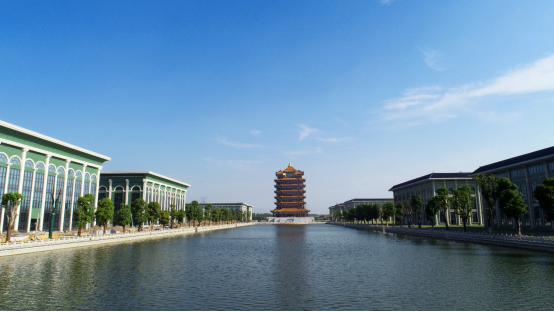 传承精华、守正创新 江苏龙凤堂亮相第三届中国国际进口博览会