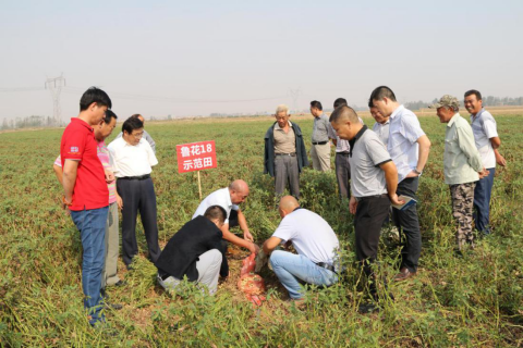 山东鲁花集团获&ldquo;全国脱贫攻坚先进集体&rdquo;称号