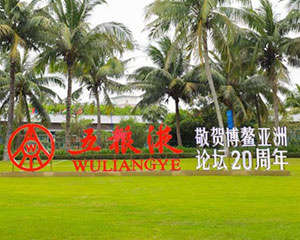 五粮液：从博鳌瞻望未来 拥抱世界