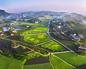 五粮液：着力锻造具有中国气派的世界品牌