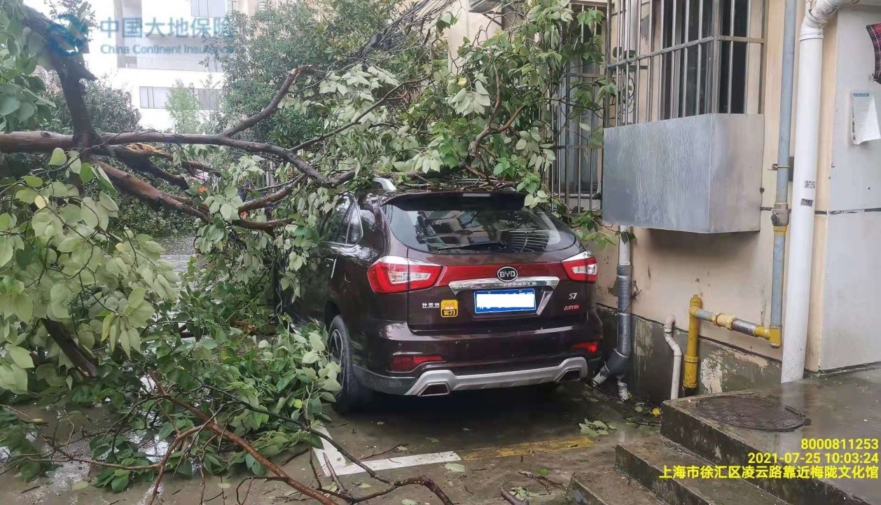 迎战&ldquo;烟花&rdquo;，&ldquo;礼赔&rdquo;制胜&mdash;&mdash;中国大地保险在行动