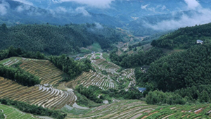 非凡十年|江西:描绘新时代改革发展新画卷