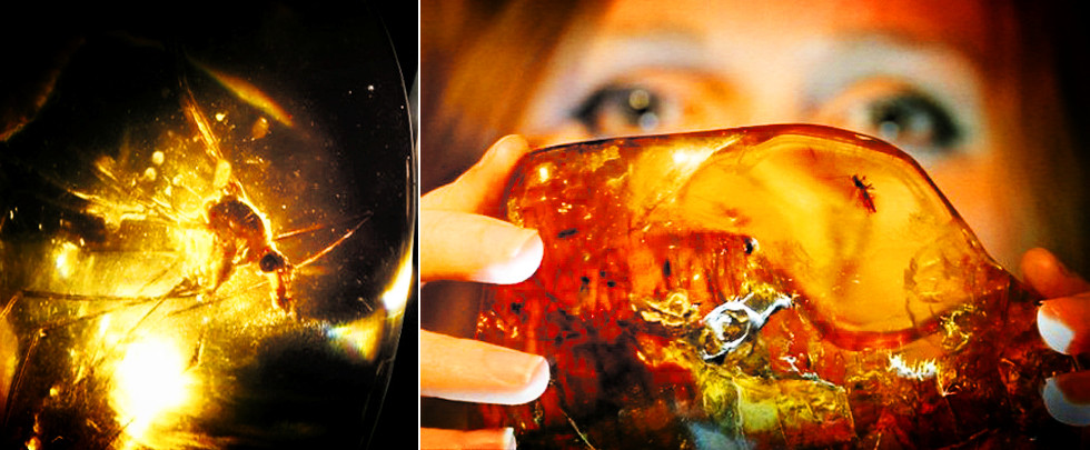 精美的琥珀艺术展：承载史前生命的时间胶囊