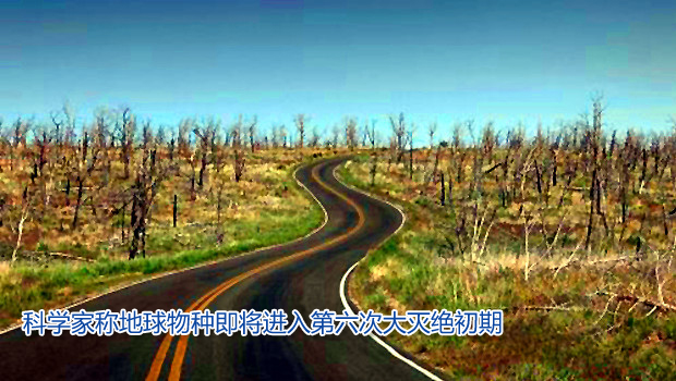 科学家称地球物种即将进入第六次大灭绝初期