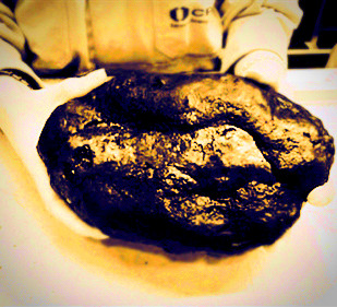 巴西海捞花岗岩 或为&rdquo;失落大陆&rdquo;线索