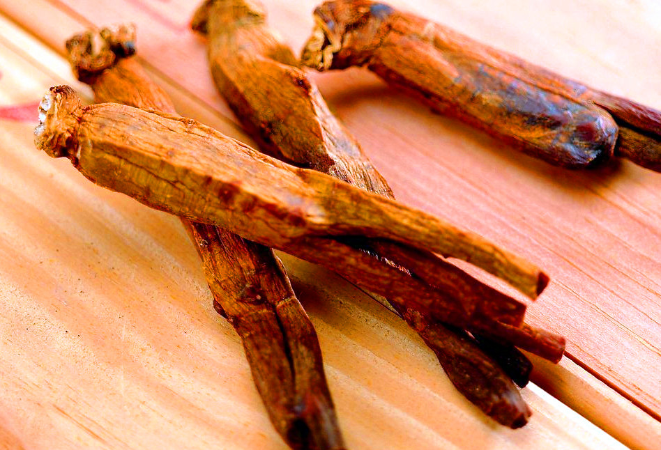 东盟多国驻华大使体验中国传统医药