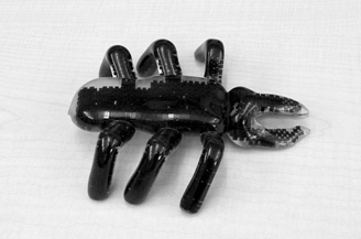 美国大学研制软体机器人