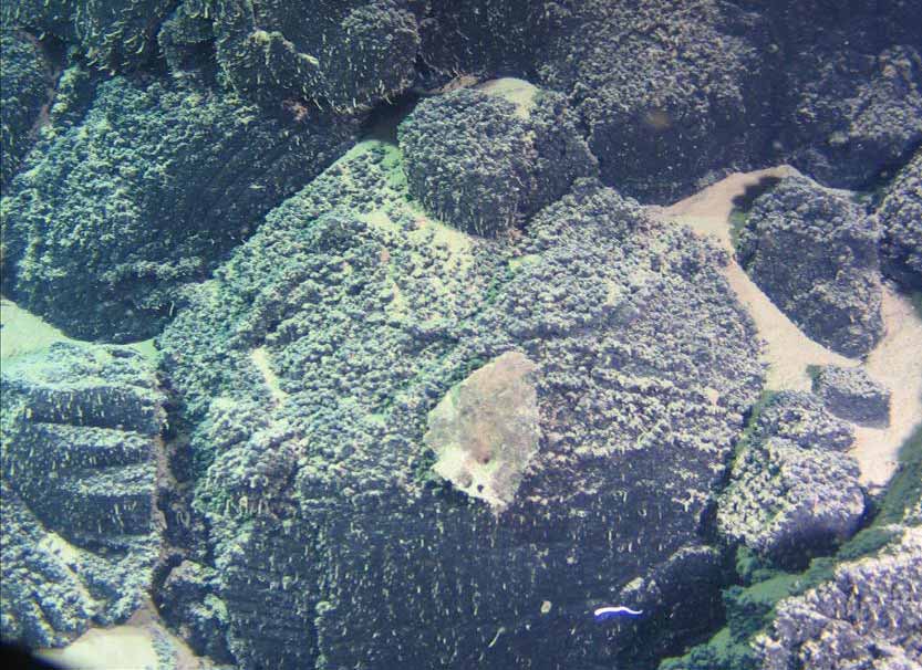 南海&ldquo;蛟龙海山&rdquo;神秘面纱(高清组图)