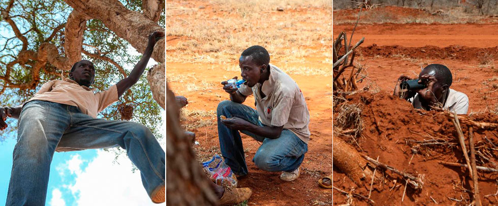 "洗心革面的偷猎者"(图)