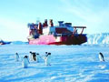 南极探秘之旅