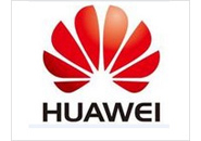 华为：4G领航奖