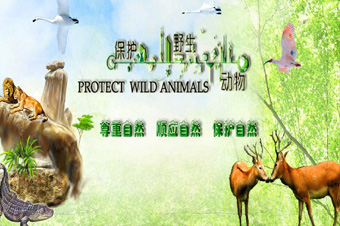 新华科技“保护野生动植物”专栏报道