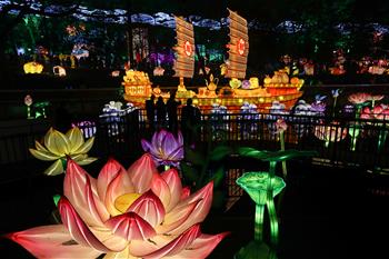四川自贡国际恐龙灯会亮灯