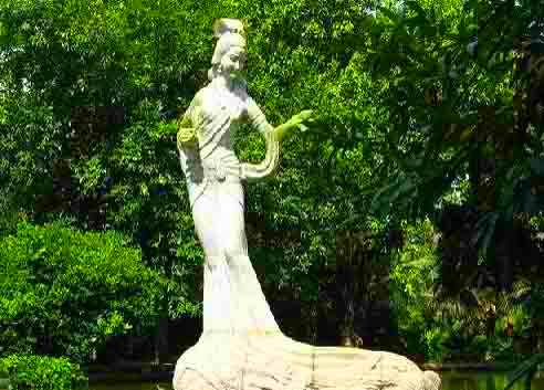 科普：五千年前岭南人主食是什么