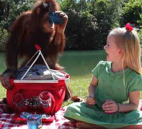 小萝莉与猩猩 亲昵嬉水照受追捧