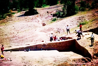 200万年前人类祖先以大脑为食