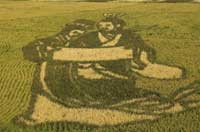 稻田画《凤求凰》亮相辽宁红海滩