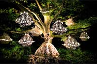 逼真！摄影师耗时6年打造梦幻仙境