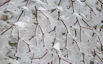 雨雪大風&ldquo;聯手&rdquo; 湖北長陽現奇特冰挂