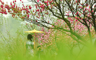 西湖春色醉人 踏春賞花正當時