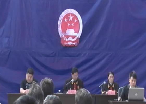 屏边县法院共有物侵害纠纷案