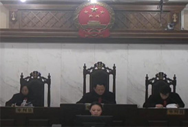 申诉人王新建与被申诉人魏红霞民间借贷纠纷一案