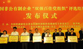 全国非公有制企业&ldquo;双强百佳党组织&rdquo;评选