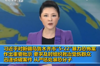 习近平对新疆5.22暴力恐怖案作重要批示