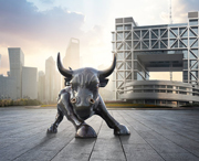 上海上市公司领导访谈