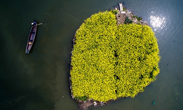 我国农业面源污染局部有好转总体不乐观