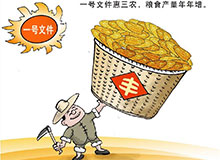 如何答好我国粮食&ldquo;三多并存&rdquo;新考题