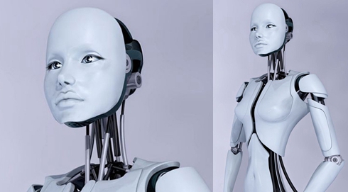 荷蘭專家：2050年“機器人妓院”將開業
