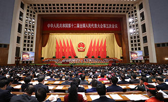 十二届全国人大五次会议举行第二次全体会议