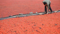 從&ldquo;溫飽田&rdquo;到&ldquo;致富田&rdquo;&mdash;&mdash;柴達木綠洲農業&ldquo;蝶變&rdquo;之路