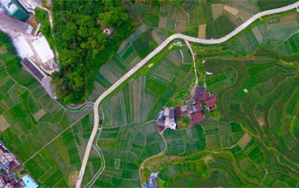 小滿節氣田園美