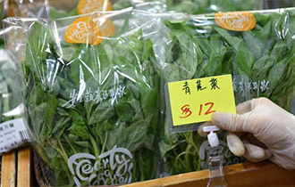 從田間到菜籃&mdash;&mdash;供港蔬菜的跨境之旅