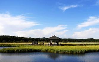 塞罕壩美景醉遊人