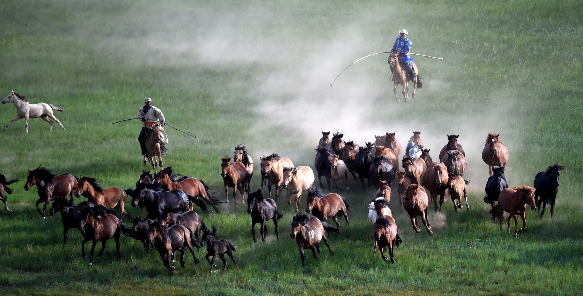 大草原旅行如何拍出壯美的草野景色