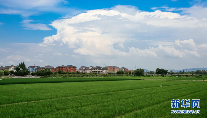 新时期呼唤新理念