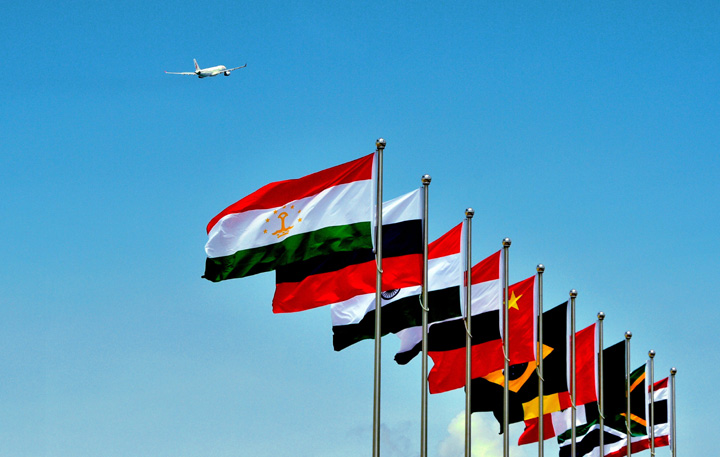 辛识平：金砖不褪色　未来更耀眼