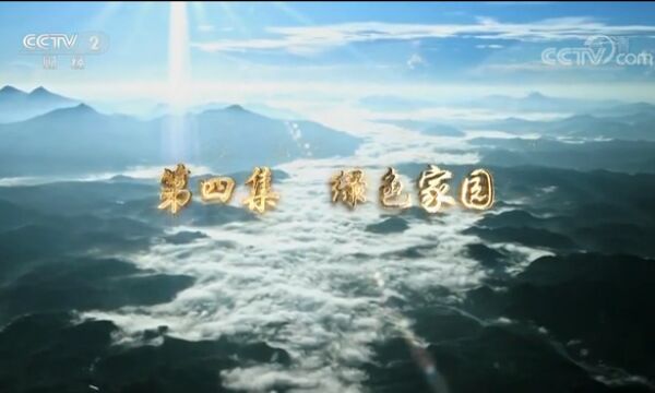 第四集《绿色家园》