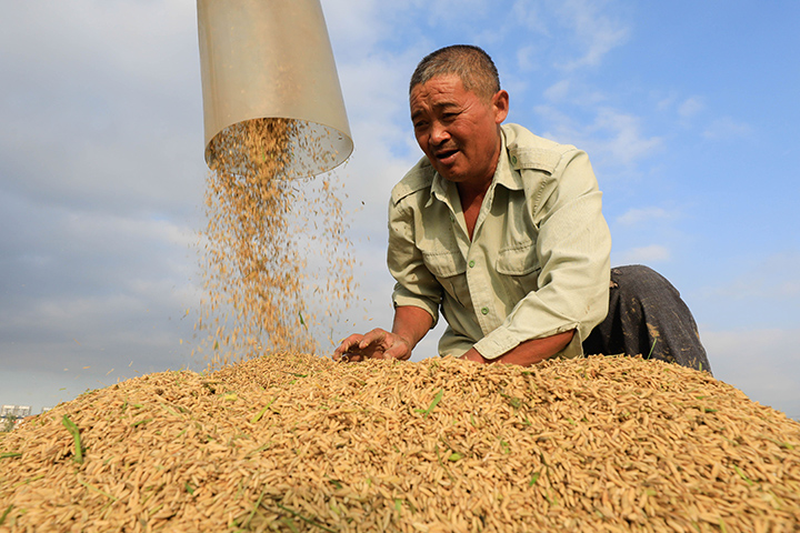 从积极变化看中国经济新气象