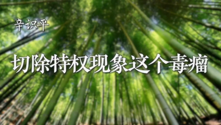 辛识平：切除特权现象这个毒瘤