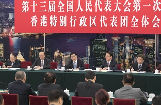 王沪宁参加香港代表团审议