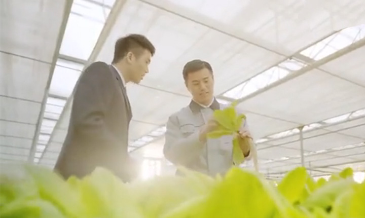 第四集 乡风文明