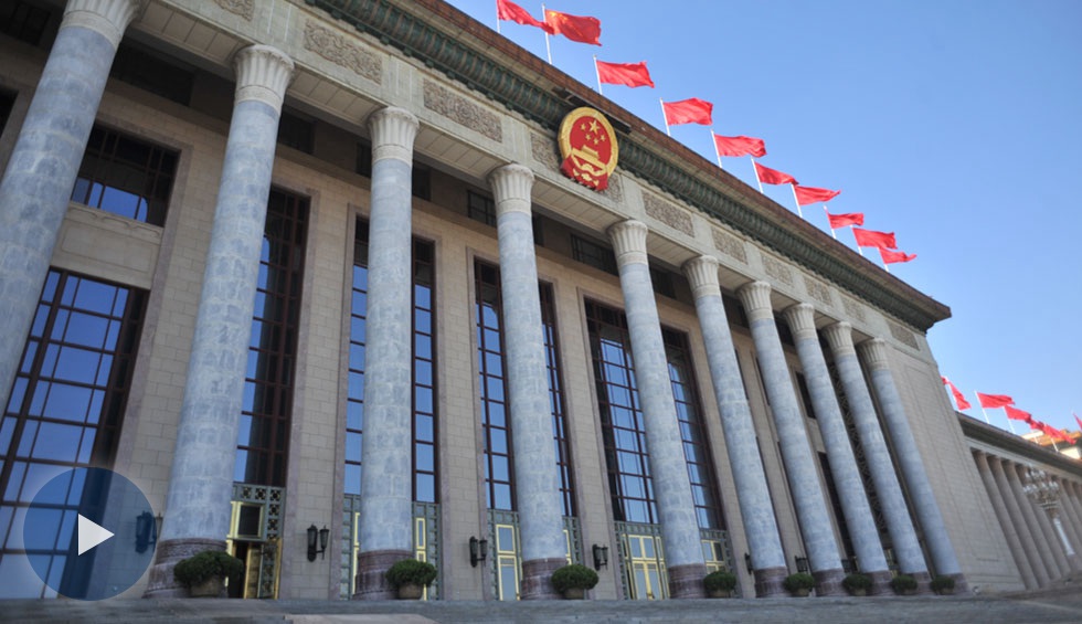 十三届全国人大一次会议第五场&ldquo;代表通道&rdquo;