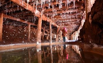 新華社國內照片一周精選